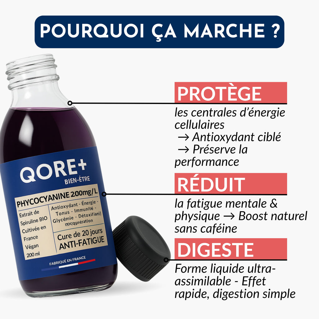 PHYCOCYANINE 2000mg/L  - Cure de 20 jours - L'ÉNERGIE NATURELLE DE L'ÉTÉ