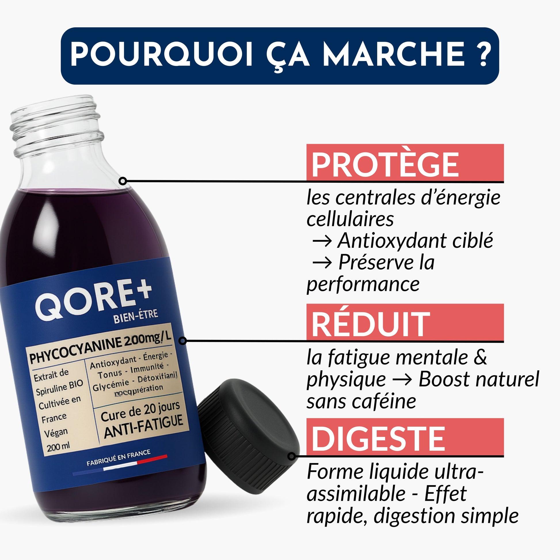 PHYCOCYANINE 2000mg/L  - Cure de 20 jours - L'ÉNERGIE NATURELLE DE L'ÉTÉ