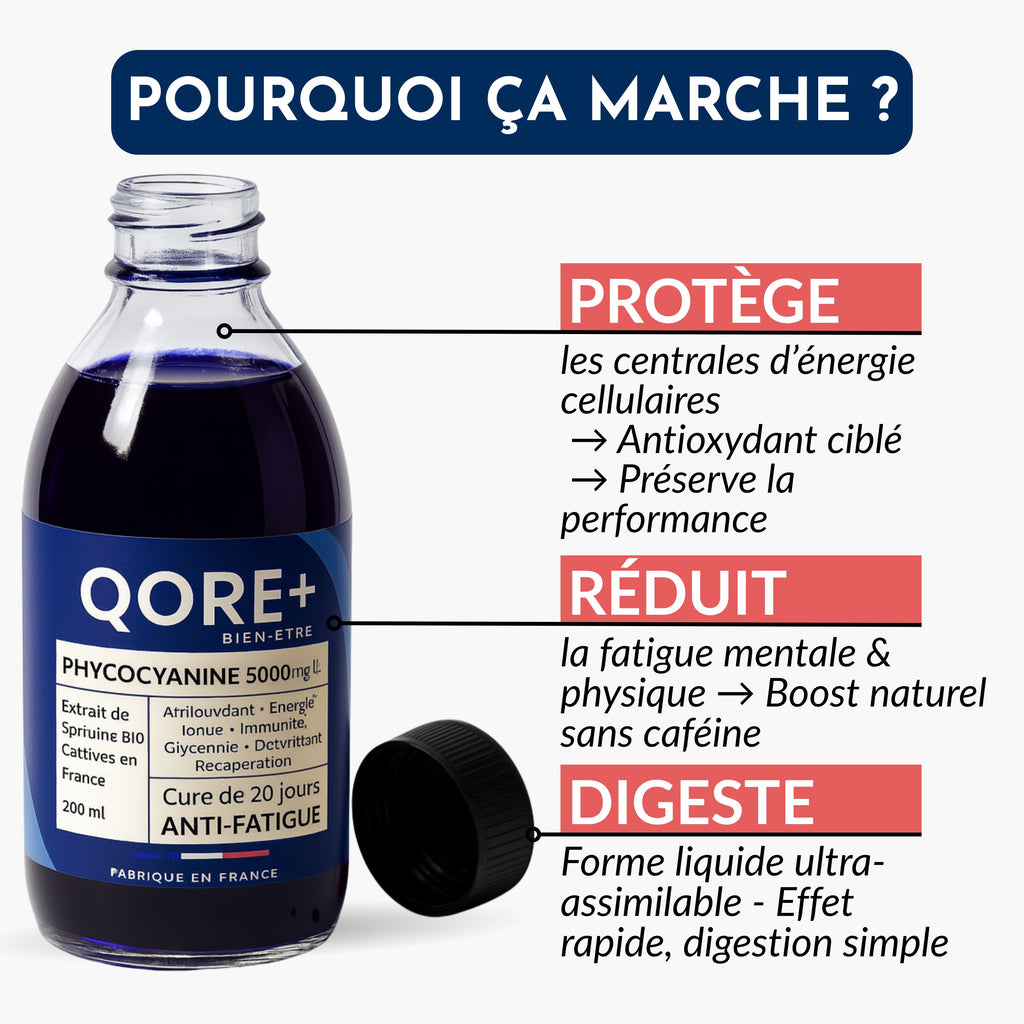 PHYCOCYANINE 5000mg/L  - Cure de 20 jours - L'ÉNERGIE NATURELLE DE L'ÉTÉ