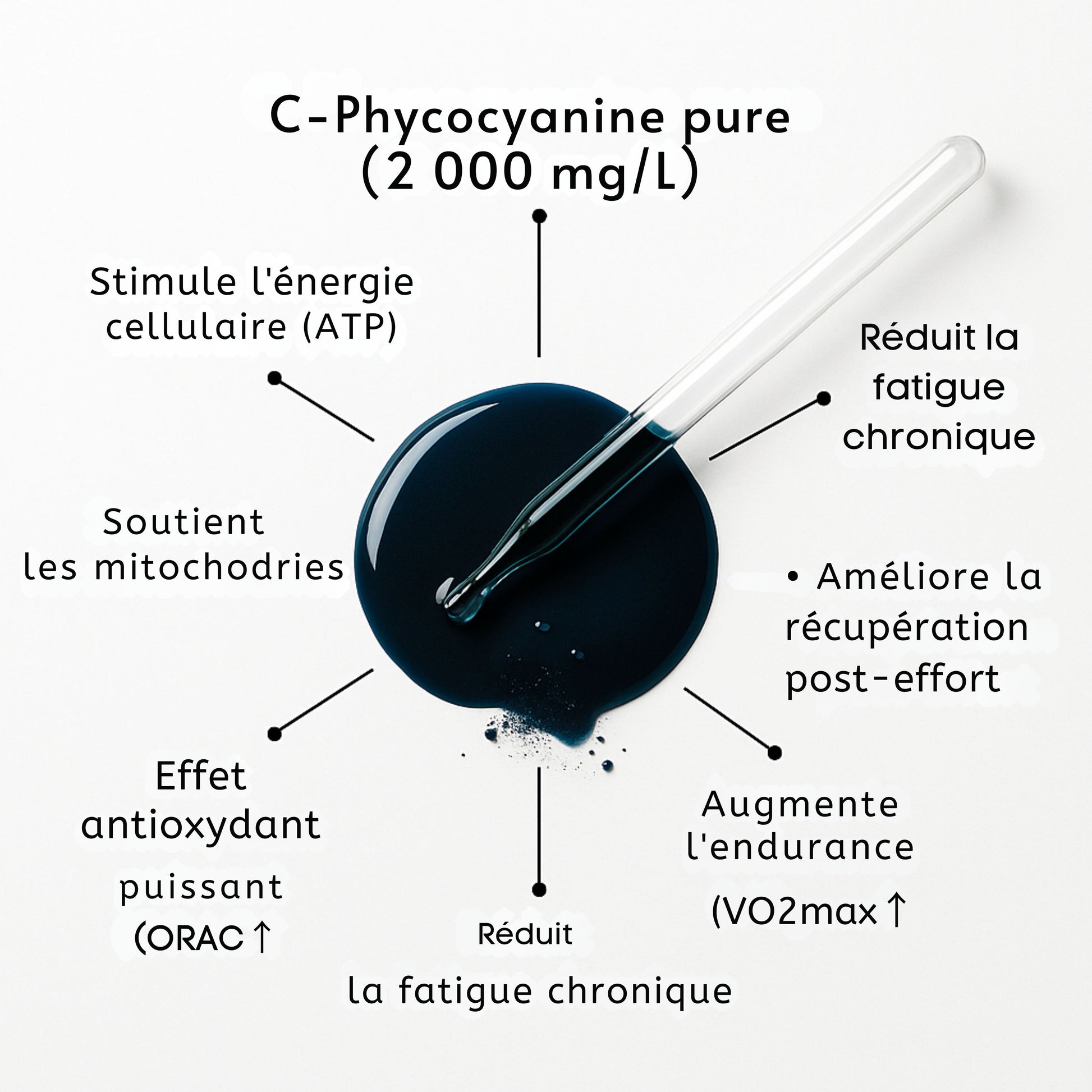 PHYCOCYANINE 2000mg/L  - Cure de 20 jours - L'ÉNERGIE NATURELLE DE L'ÉTÉ