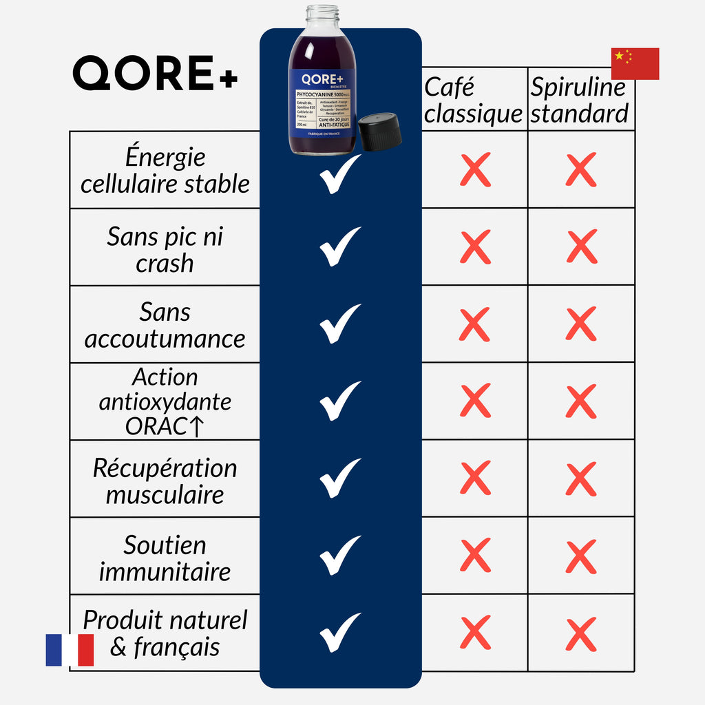 PHYCOCYANINE 2000mg/L  - Cure de 20 jours - L'ÉNERGIE NATURELLE DE L'ÉTÉ