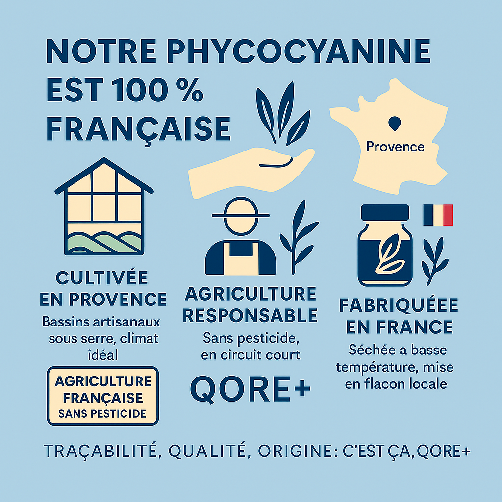 origine phyco 3